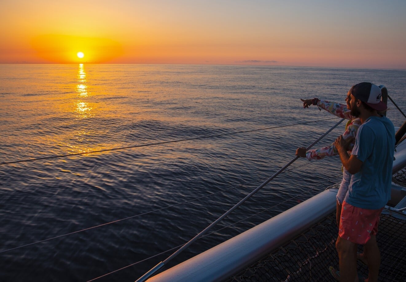 Delfin tour mit Familie