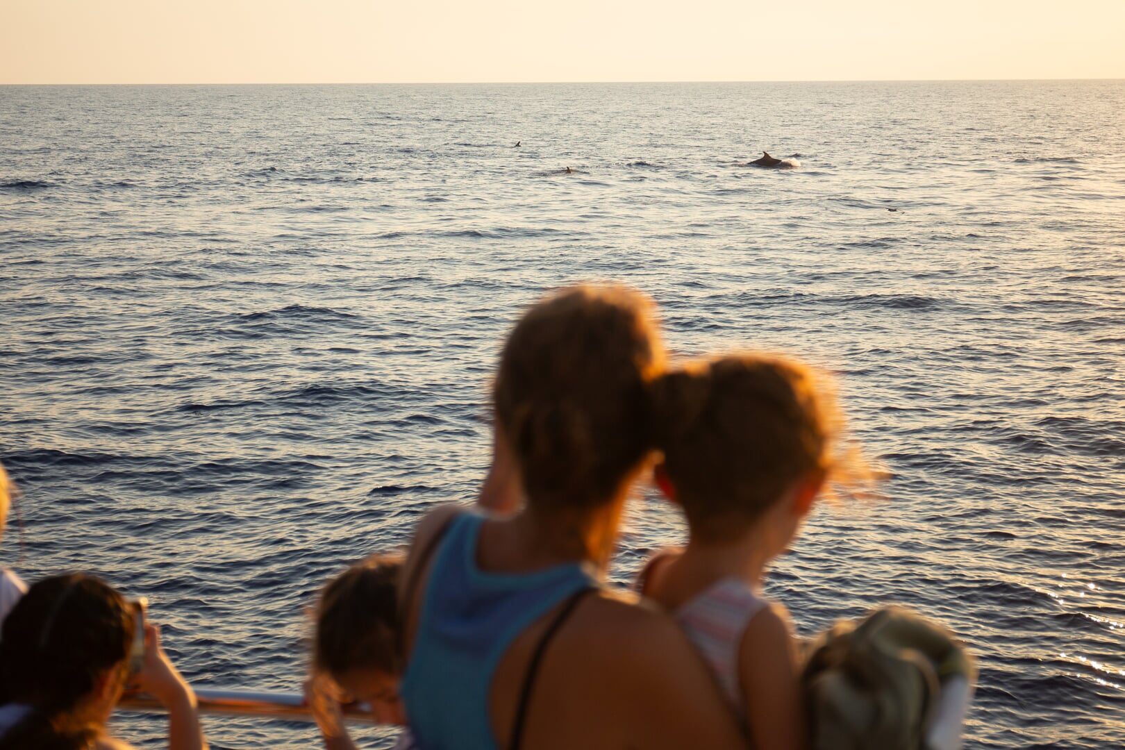 Delfine und Sonnenaufgang