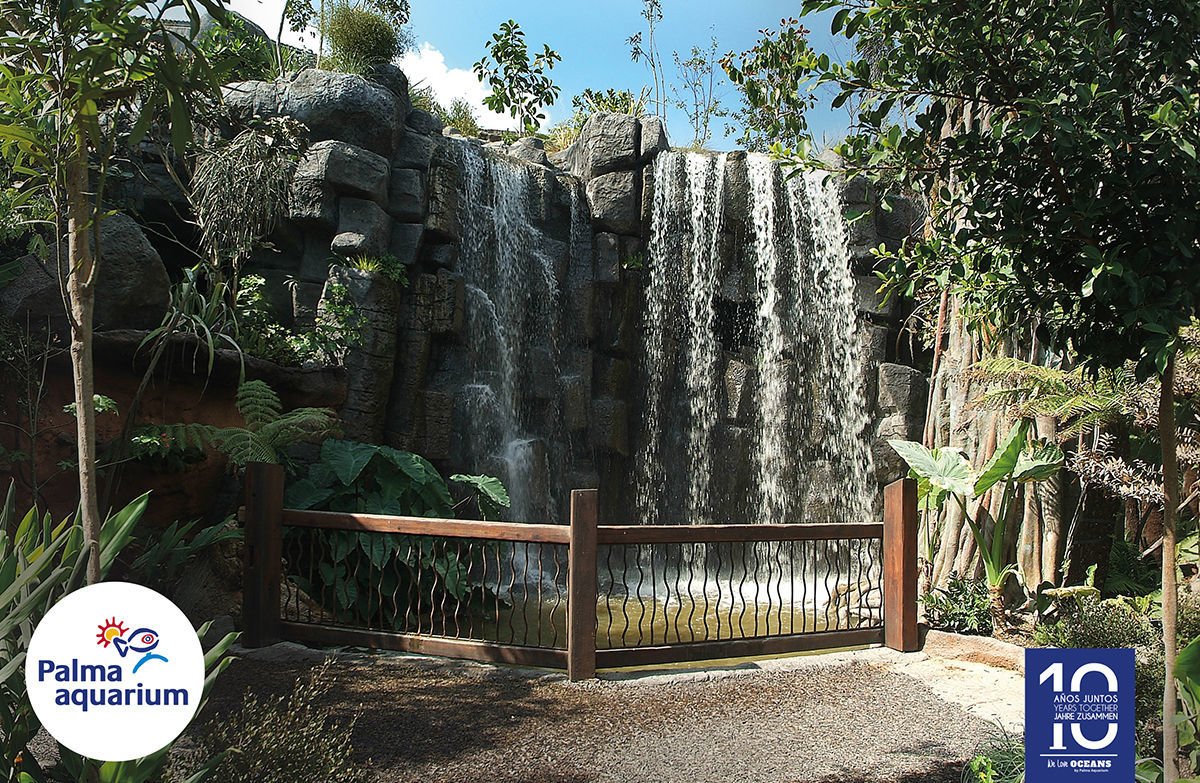  Fühlen Sie sich wie in einem richtigen Dschungel