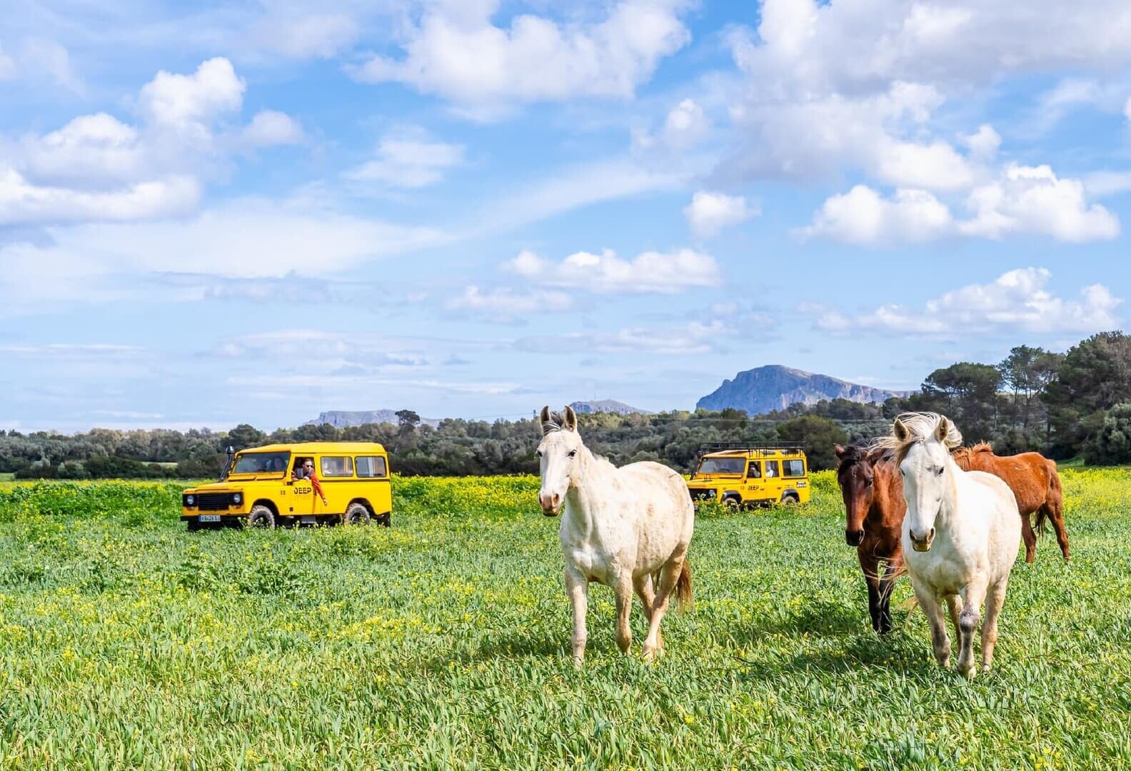 Jeep Ausflug Mallorca