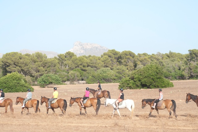 Reiter auf dem Feld