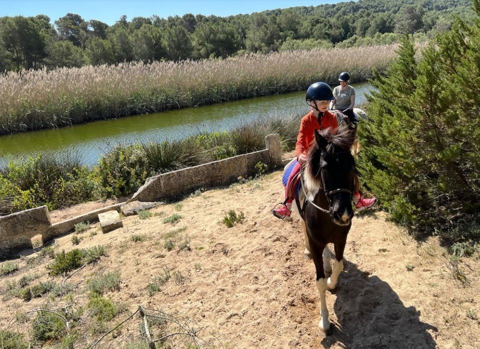 Reiten für jedes Alter