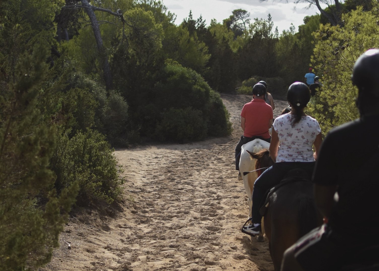reiten mit der Gruppe