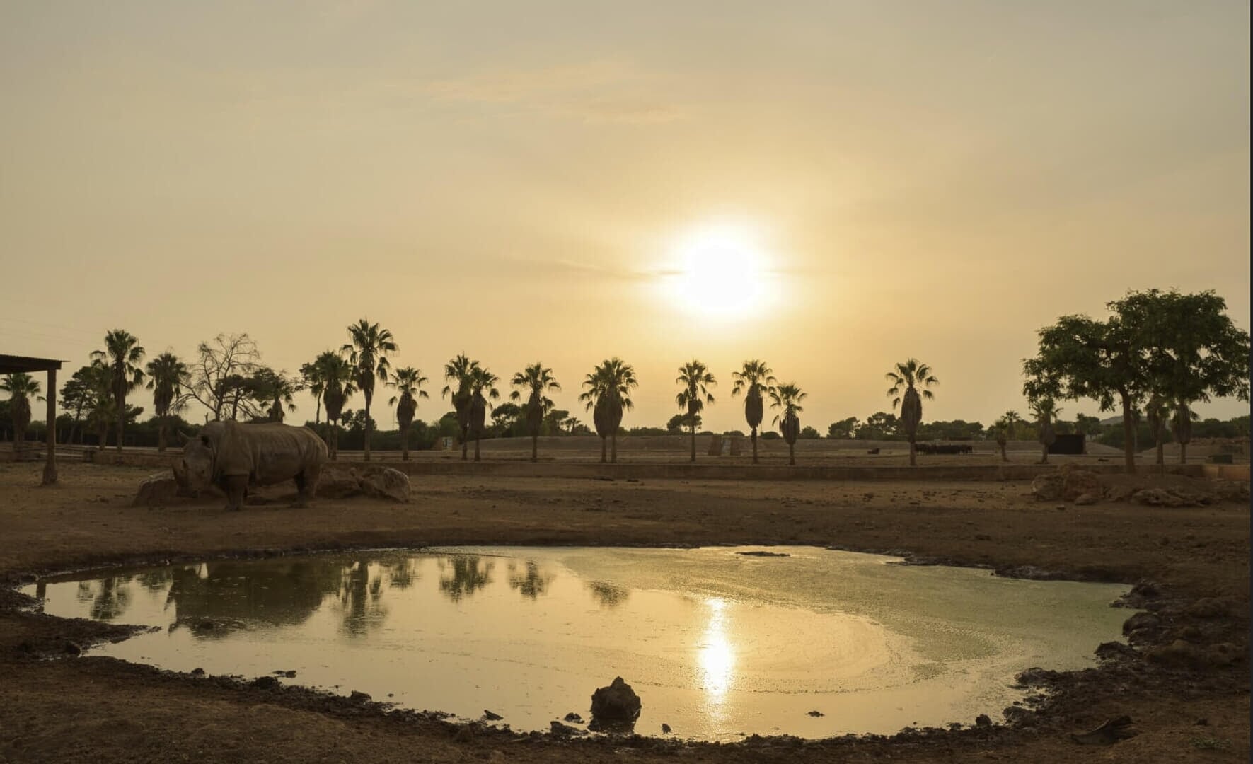 Sonnenaufgang im park