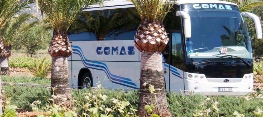 transfer in mallorca