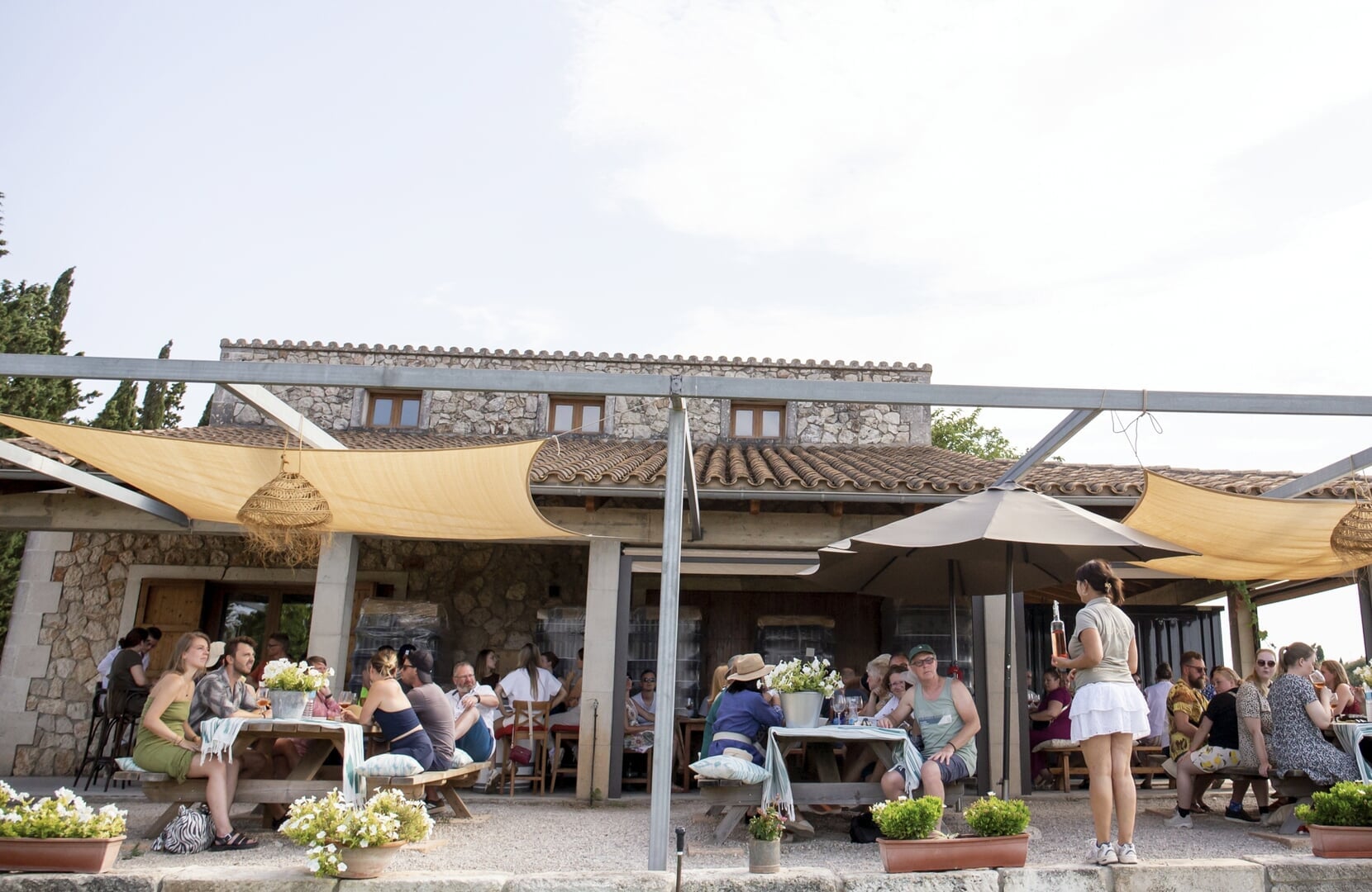 Führung im Weinberg