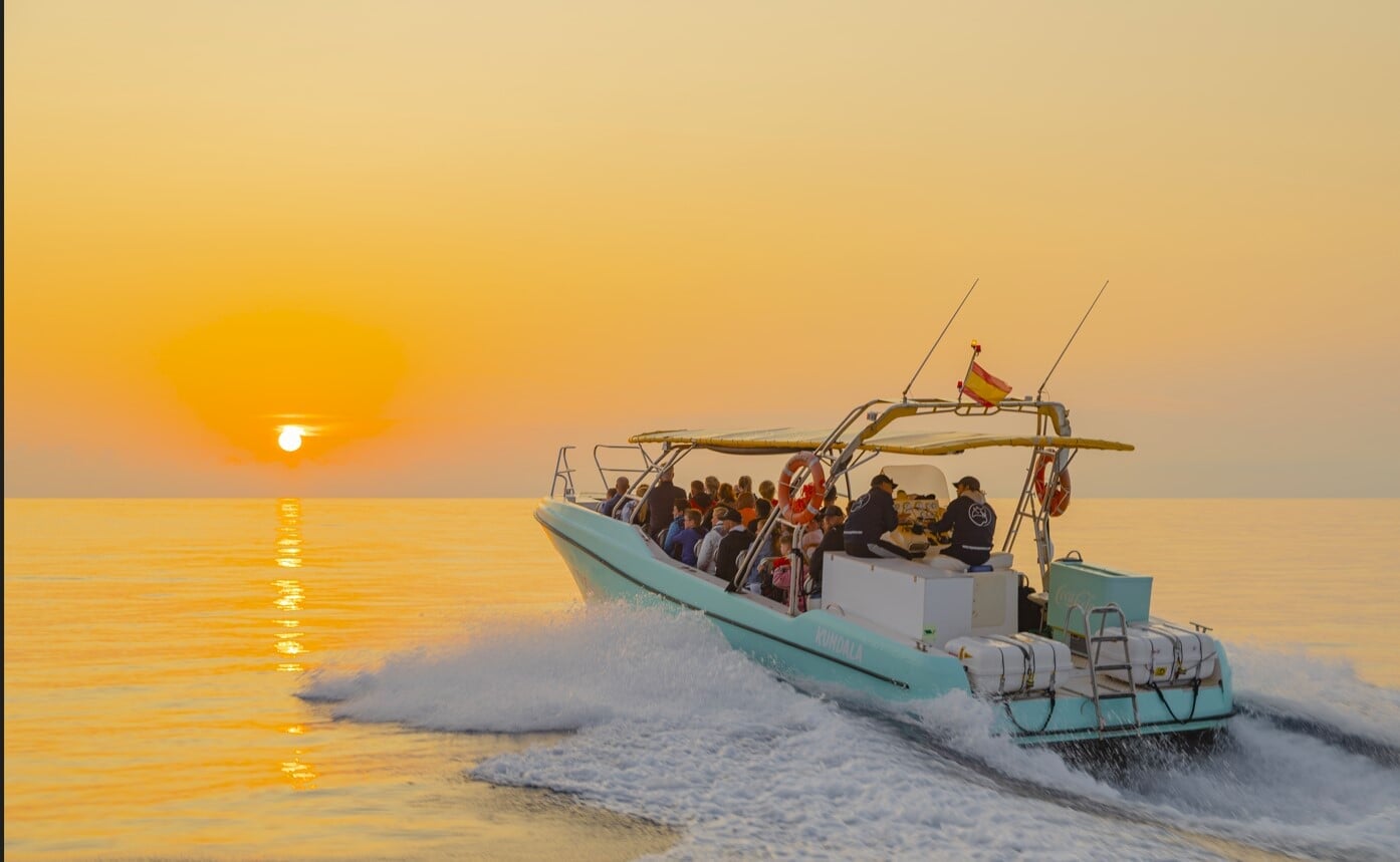 dolphin watching speedboat