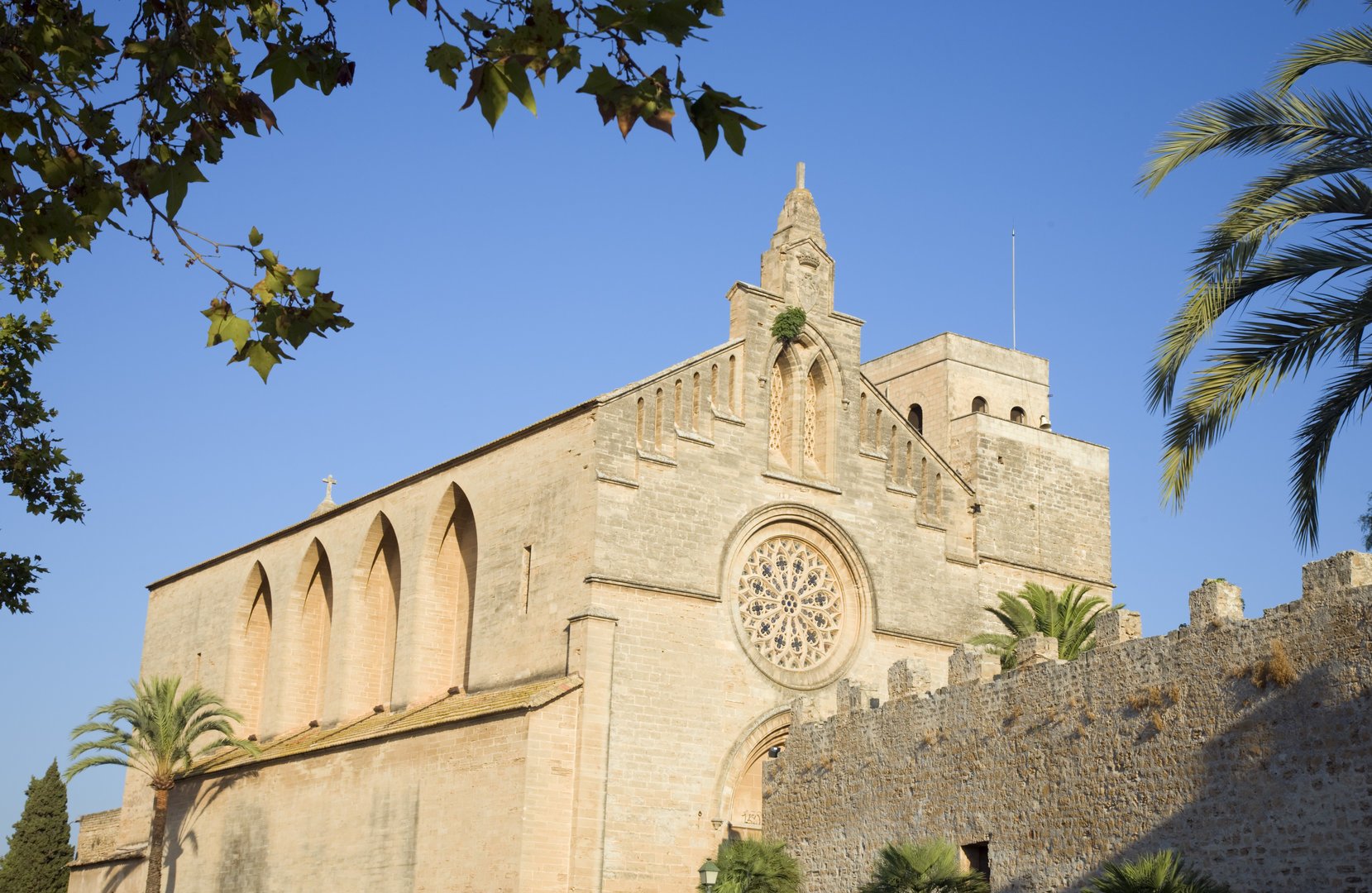 Alcudia church