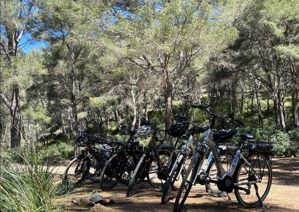 bikes