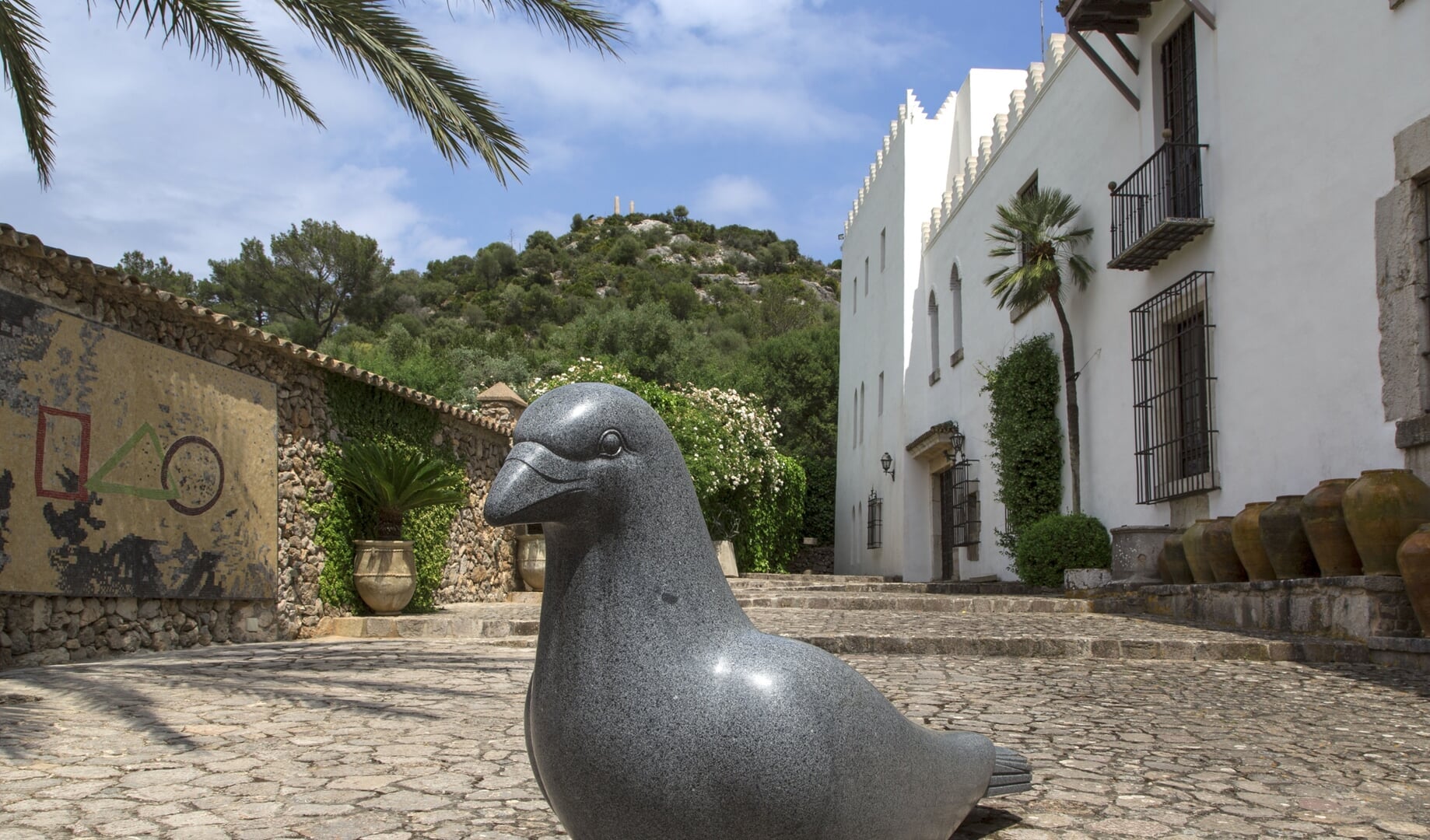 excursion sa bassa blanca