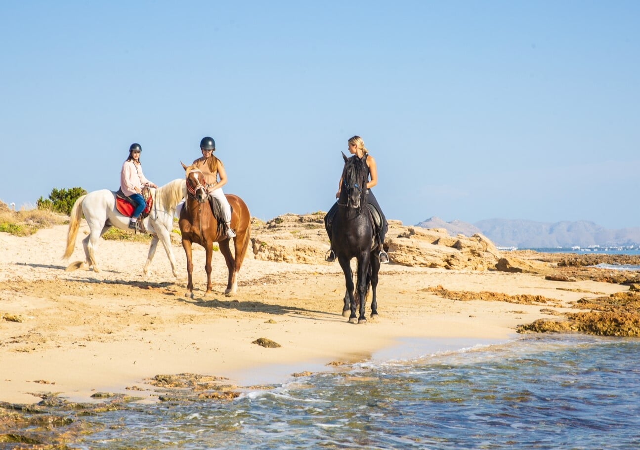 Horse riding by the beach in groups