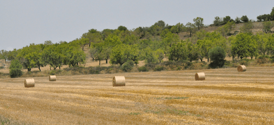 Views of Maria de la Salut