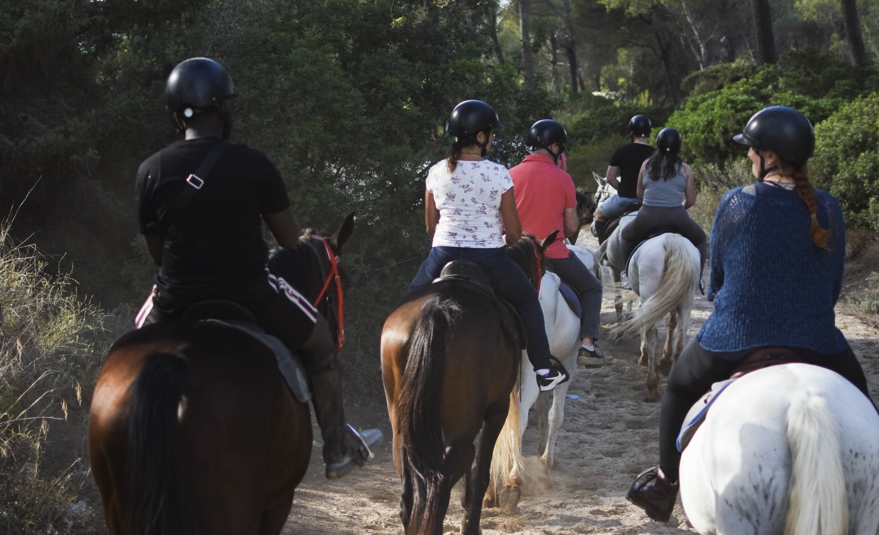 horse riding excursion in alcudia
