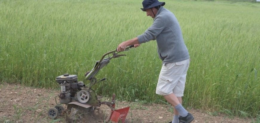 actividades en mallorca