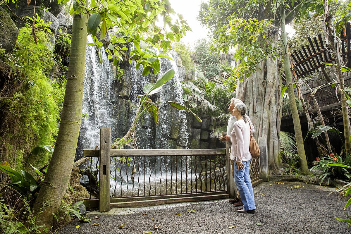 jungle inside Palma Aquarium