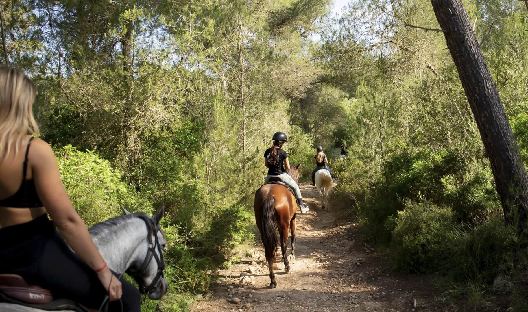 group horse riding in Alcudia