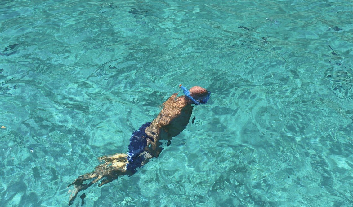 mallorca boat trip with food