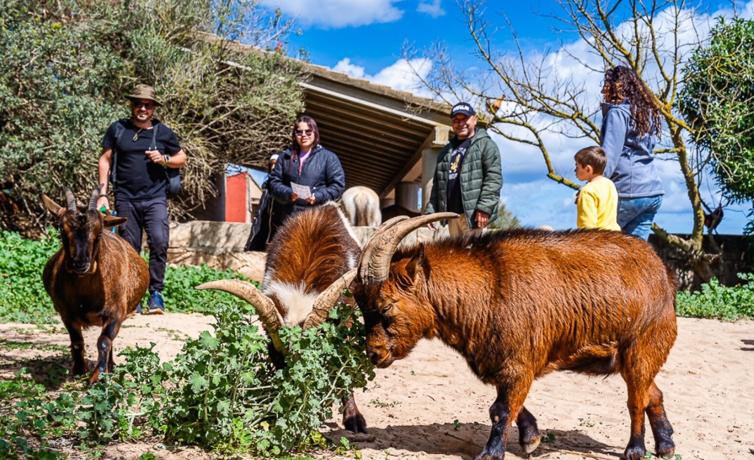 animals in mallorca