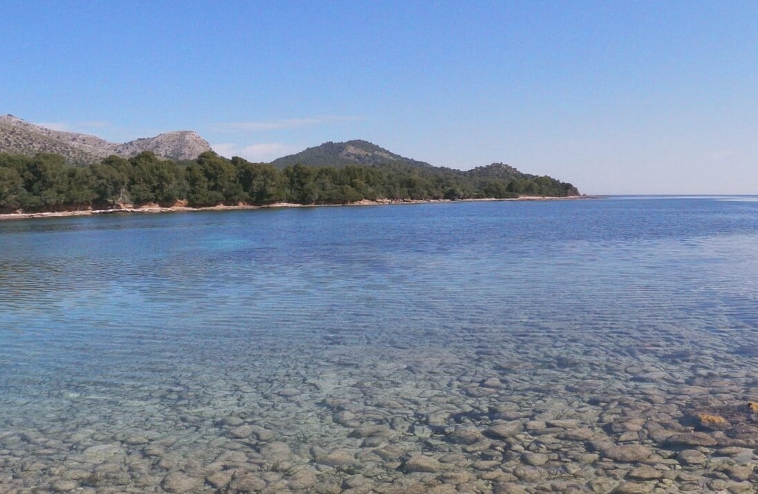 beach Alcanada