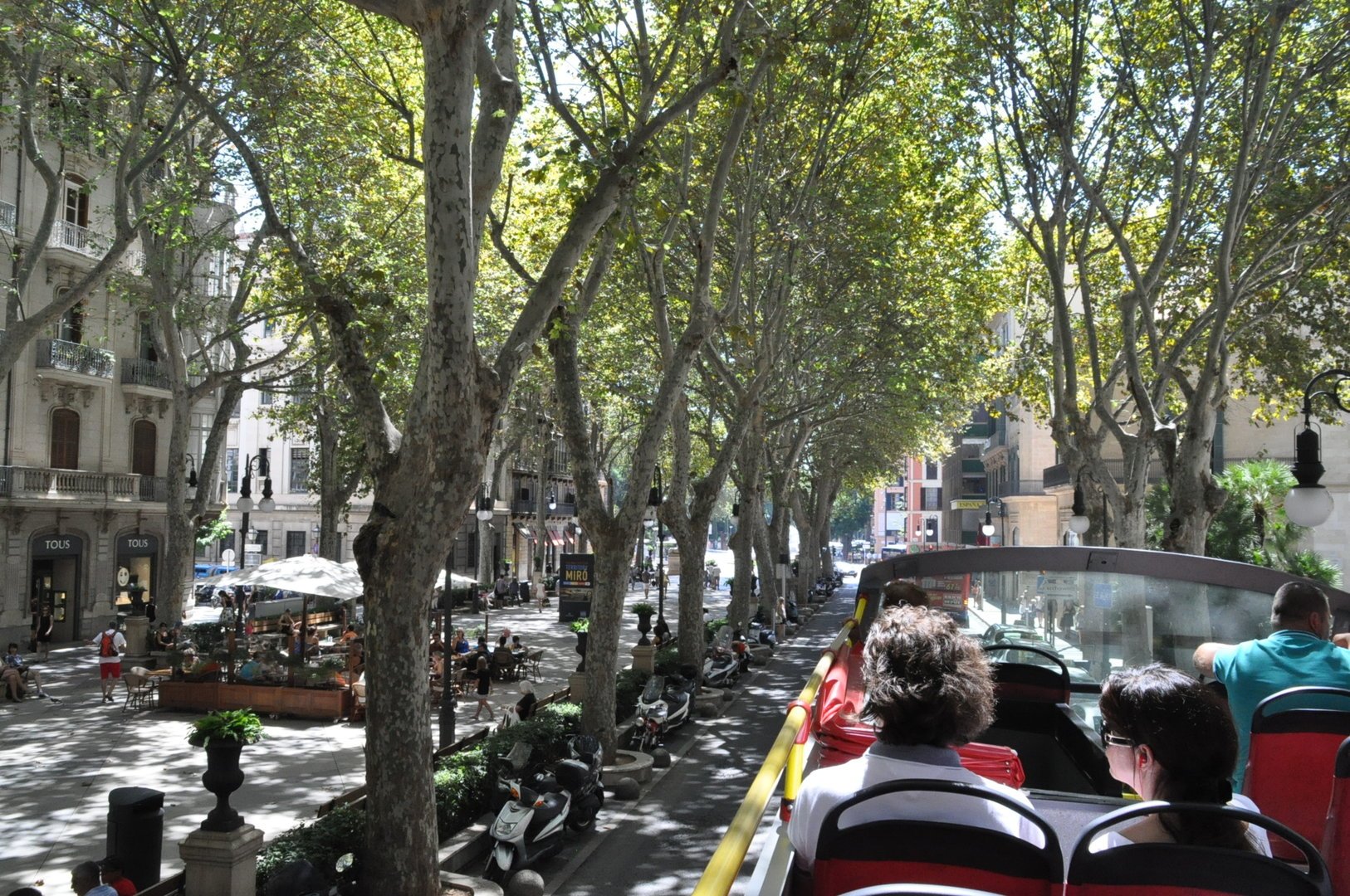 Mallorca sightseeing bus