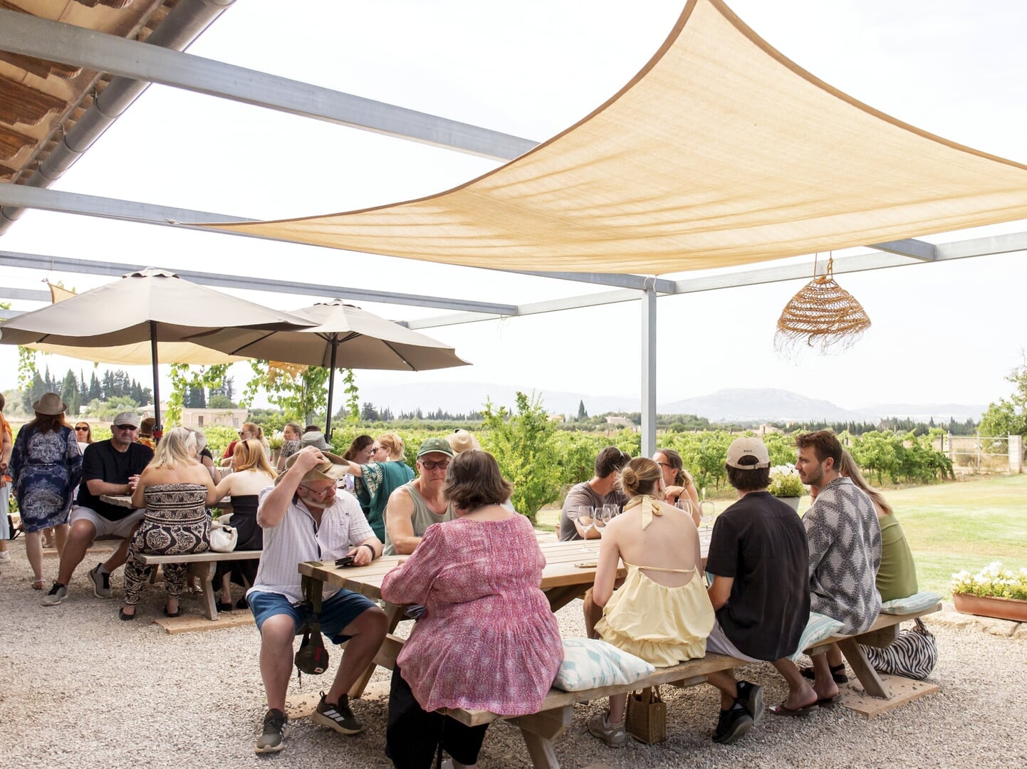 Wine tasting in Mallorca