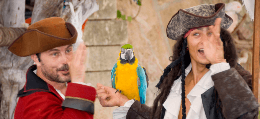 Parrot show majorca