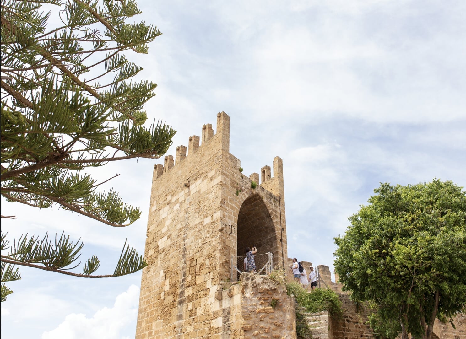 old town tours