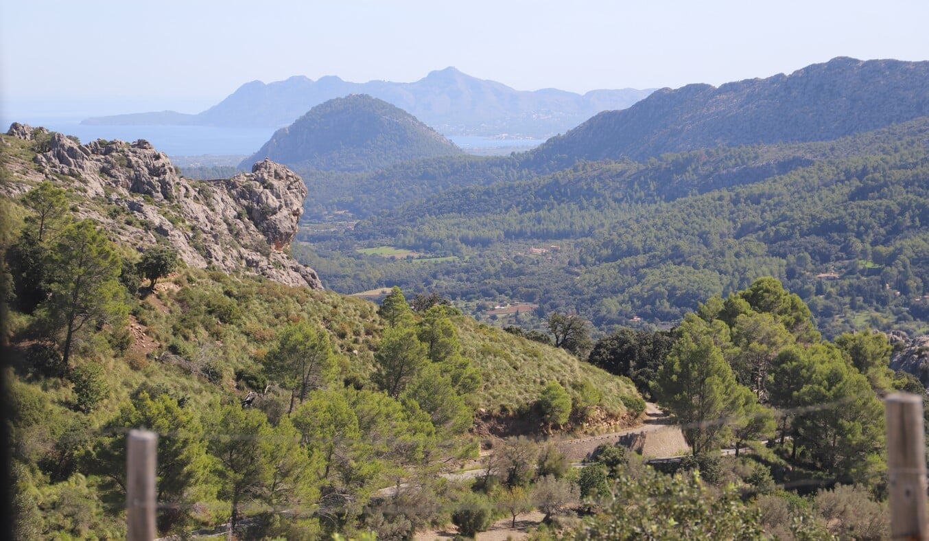 view