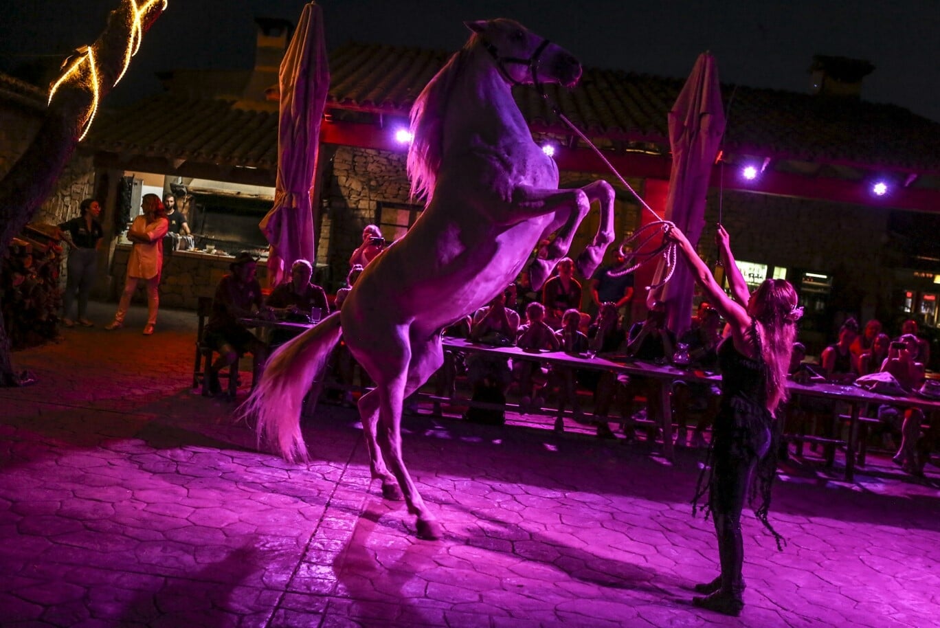 riding tour with bbq