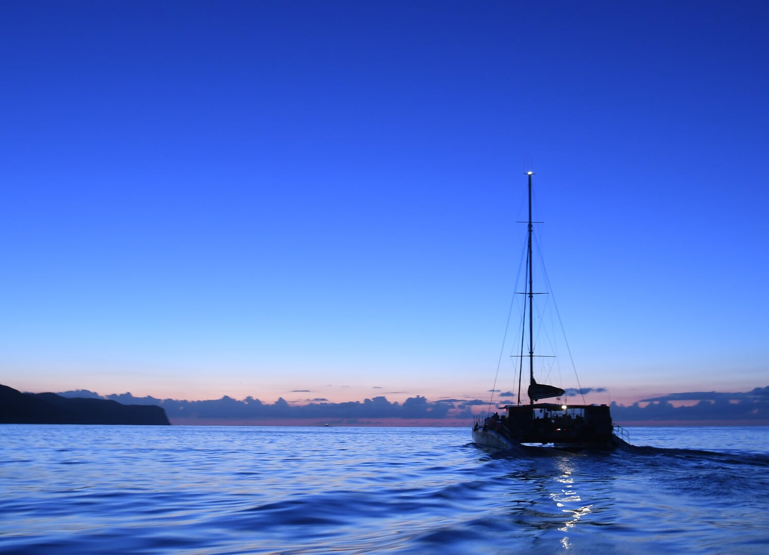 dolphin-watching from robinson catamaran