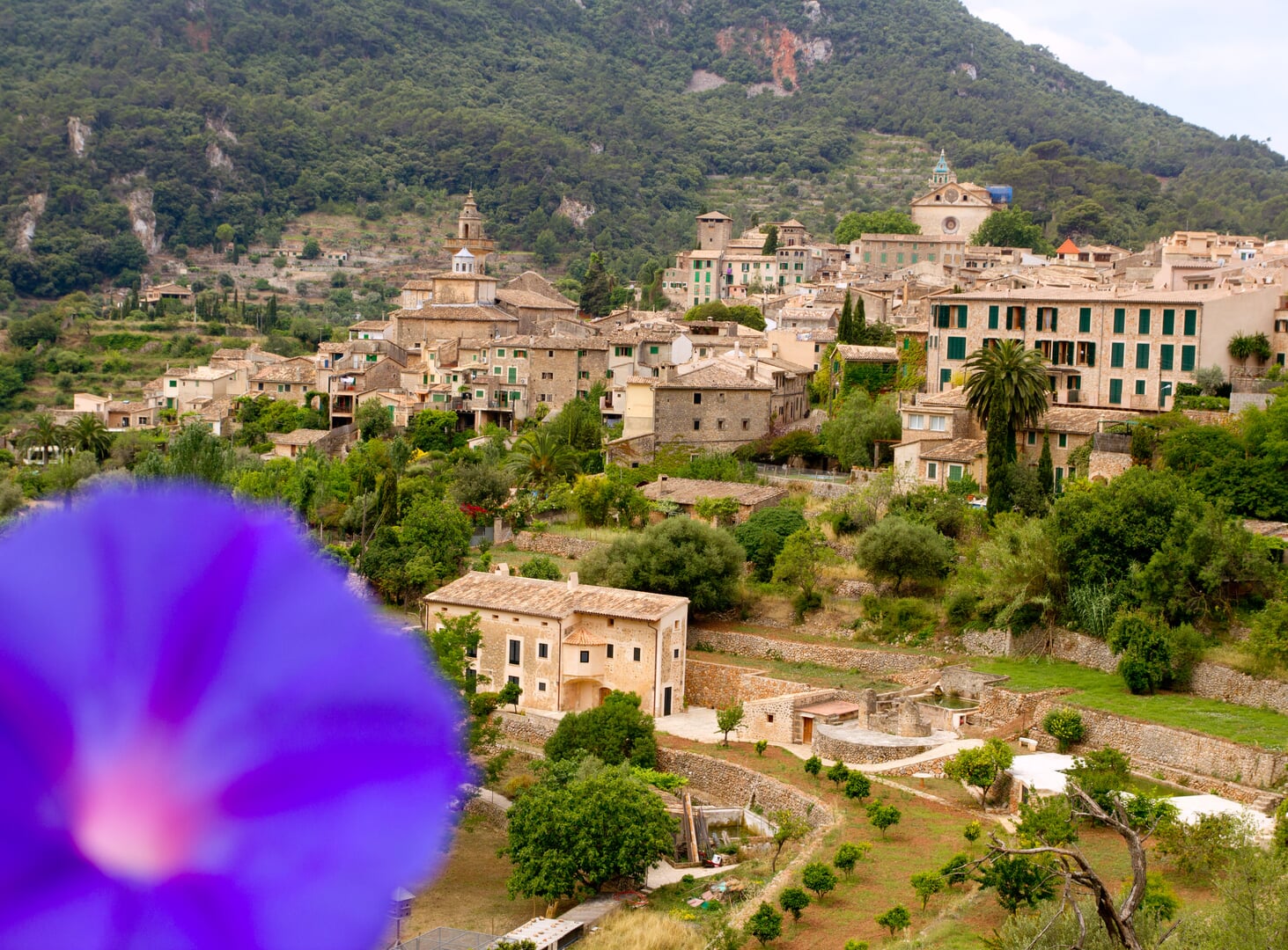 Valldemossa village
