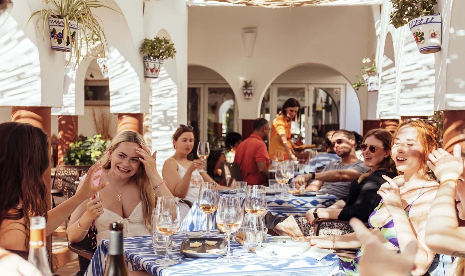 cata de vinos de mallorca