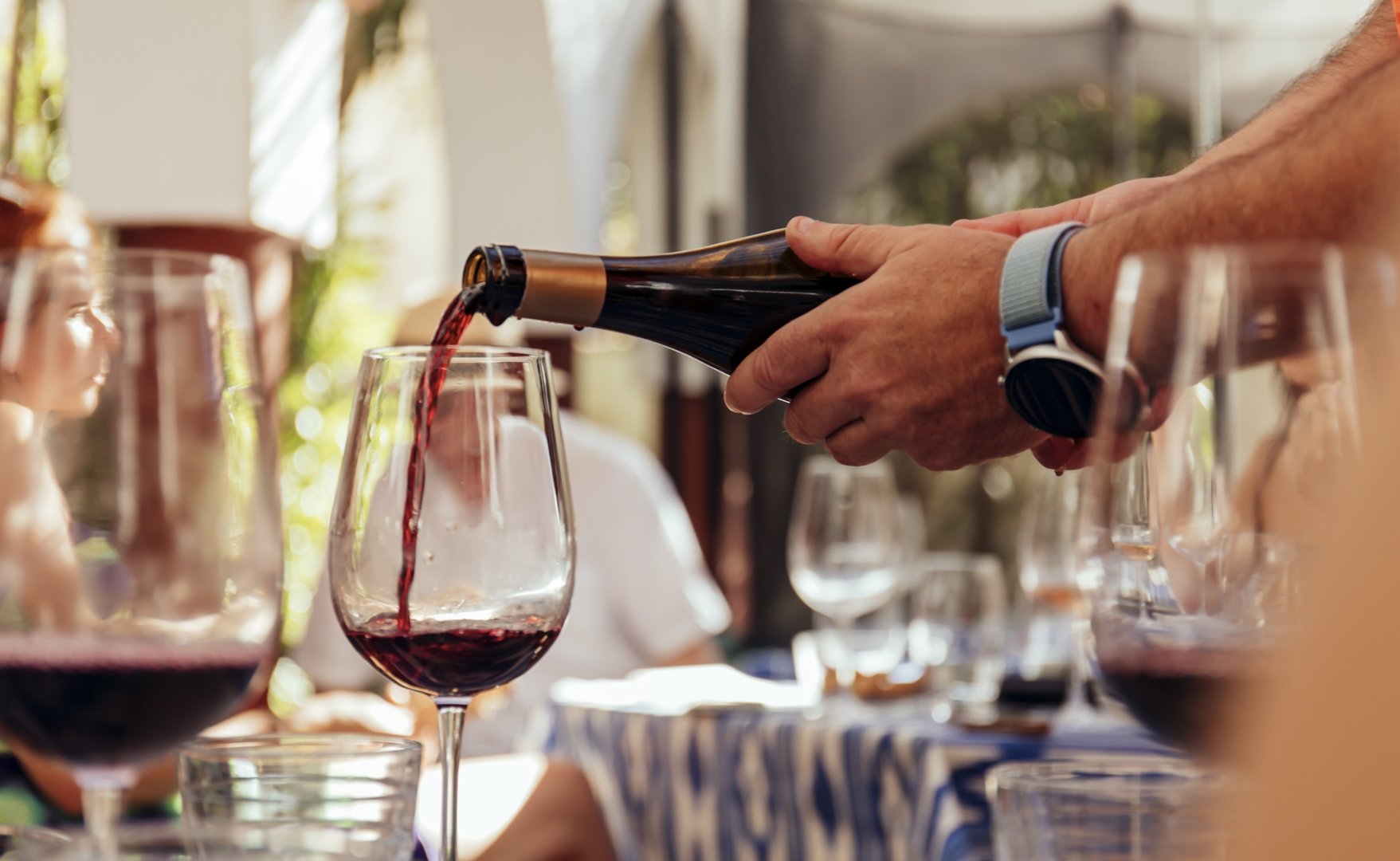 cata vinos y quesos de mallorca