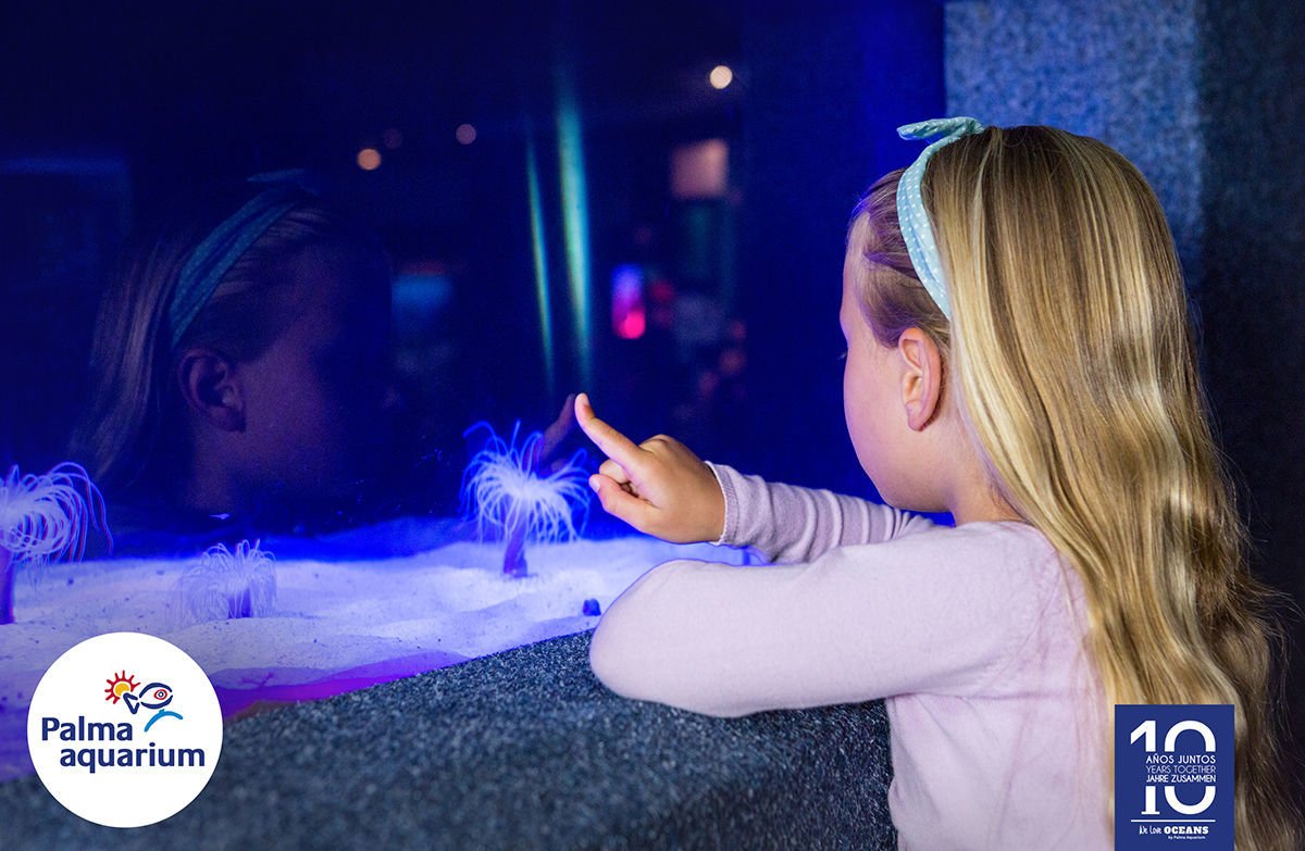 Nuestros pequeños disfrutando de un día en Palmaquarium