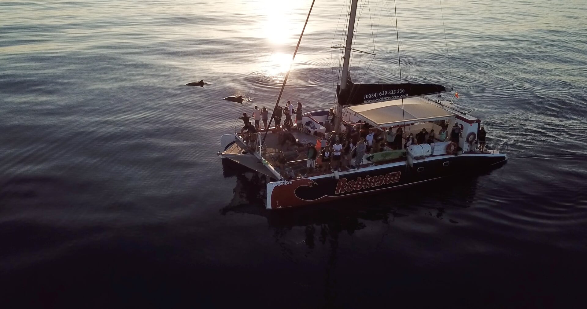 katamaran o wschodzie słońca z delfinami