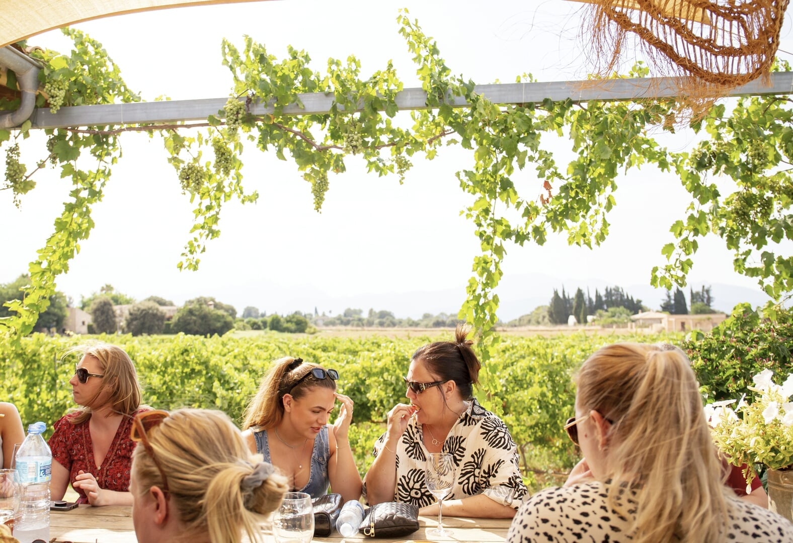 Odwiedź winnicę na Majorce