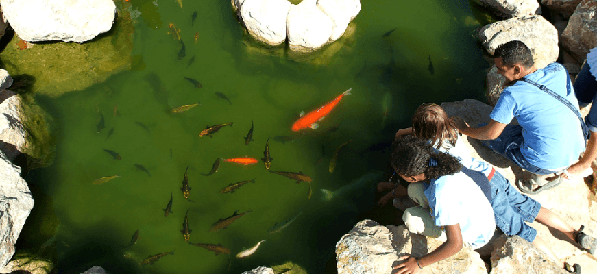 Wycieczki na Majorce