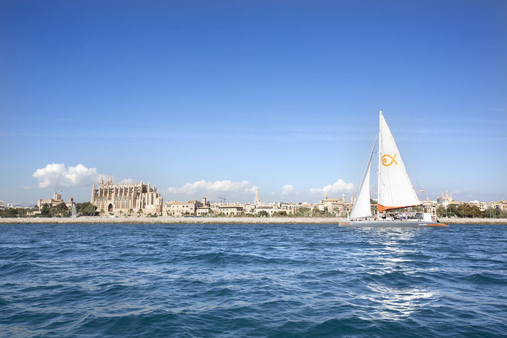 Katamaran w Zatoce Palma